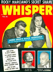 Whisper smaller fixed cover-2